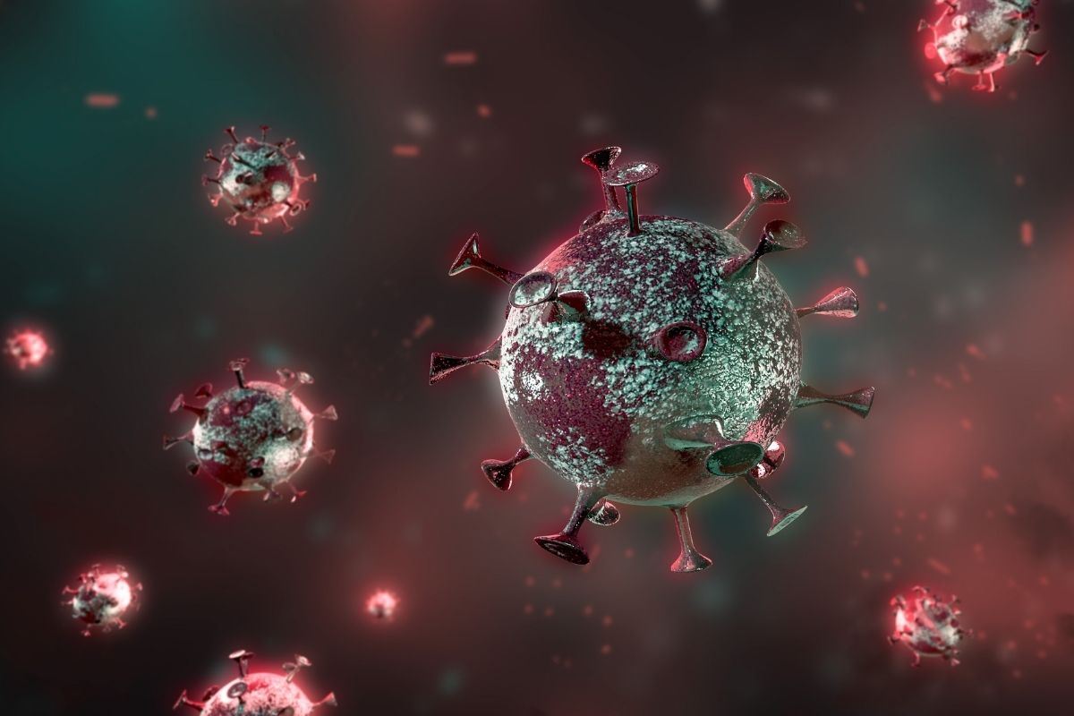 coronavirus covid 19