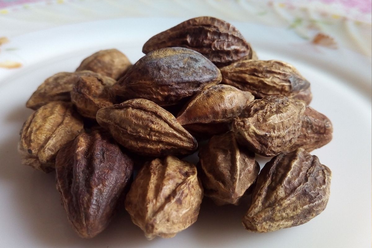 triphala haritaki