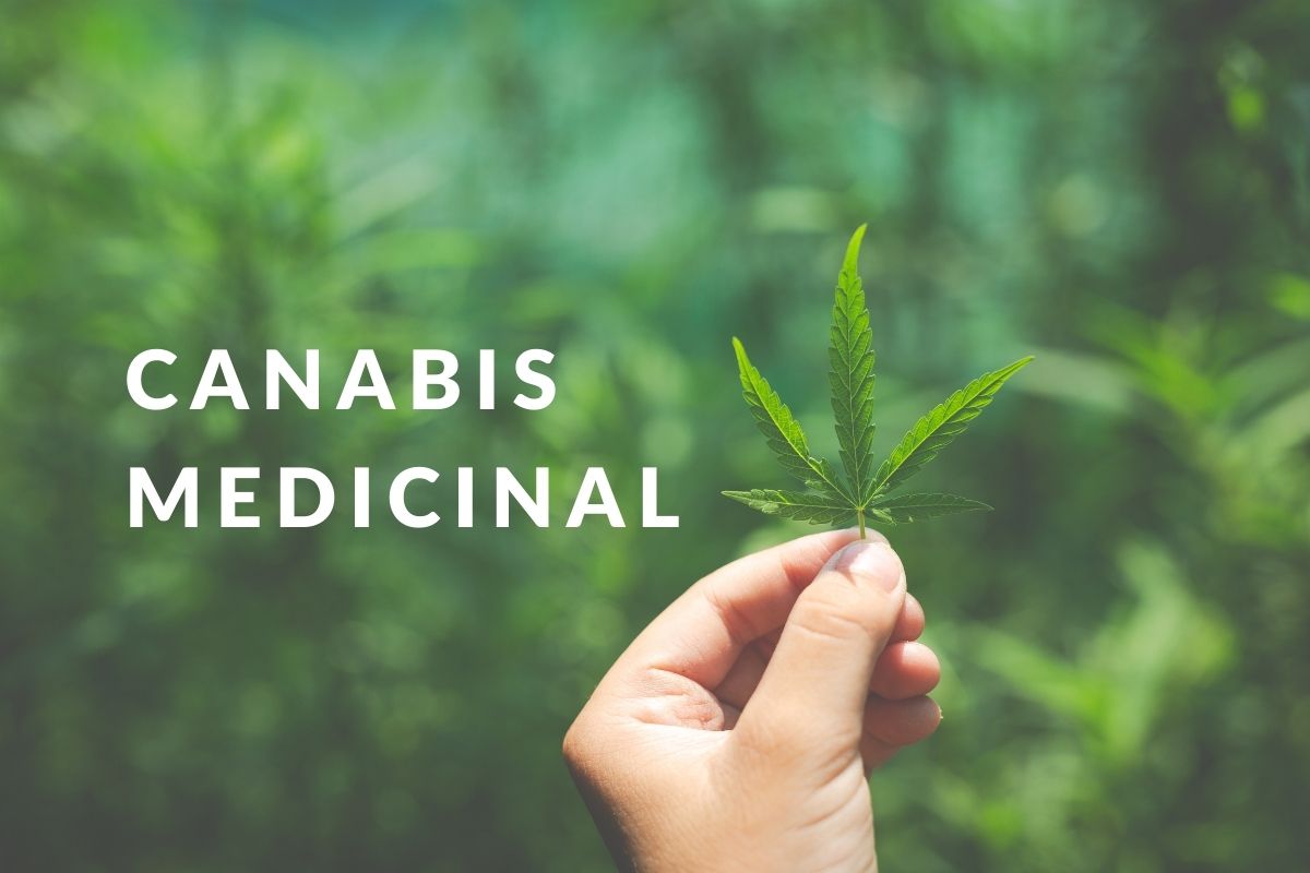 canabis medicinal