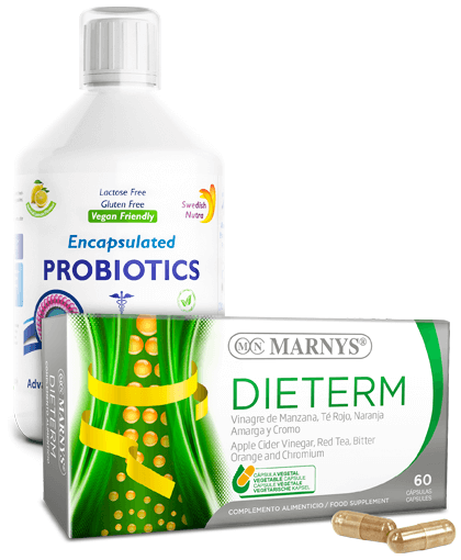 probiotic dieterm